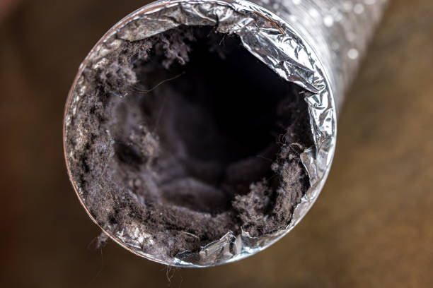 Best Affordable Duct Cleaning Services  in Safety Harbor, FL